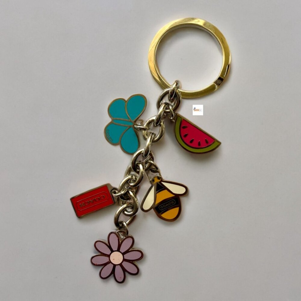 Coach Butterfly, Watermelon, Daisy, Bee Metal Keychain Key Ring